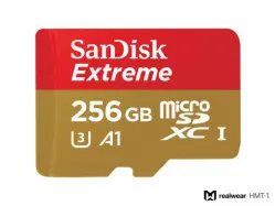 Micros SD Card (256 GB San Disk Extreme)